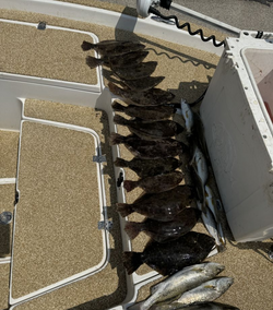 Flounder are biting today in Slidell, LA!
